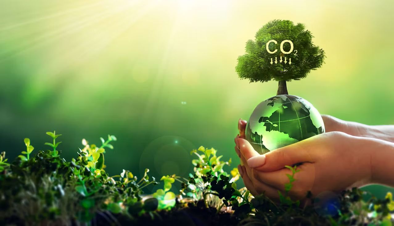CO₂ globe held in hands